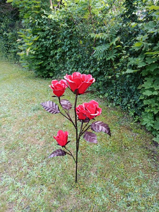 Ranku darbo ,lauko roze