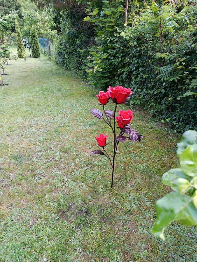 Ranku darbo ,lauko roze - nuotraukos Nr. 2