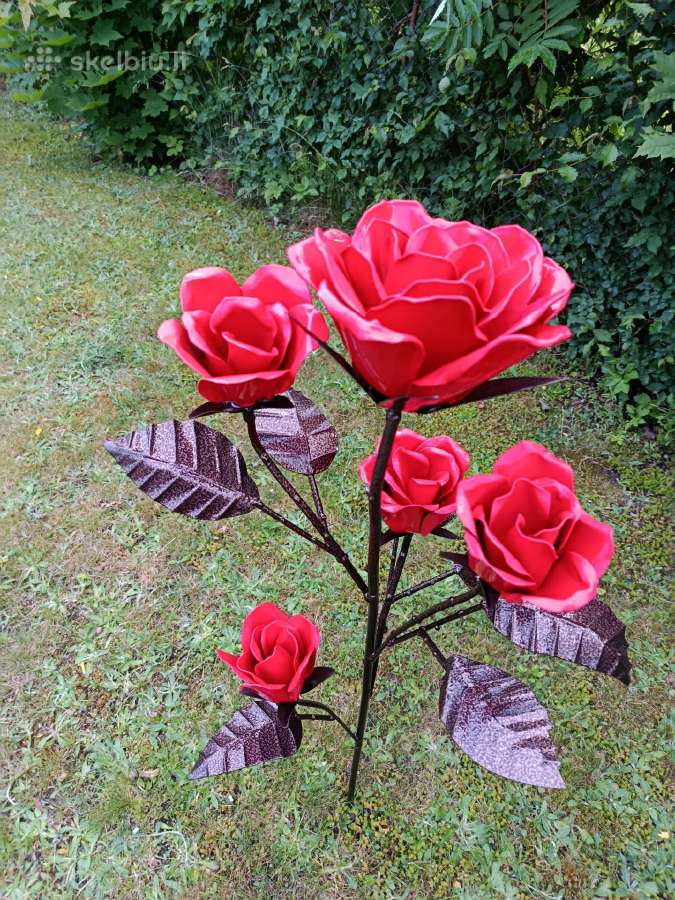 Ranku darbo ,lauko roze - nuotraukos Nr. 4