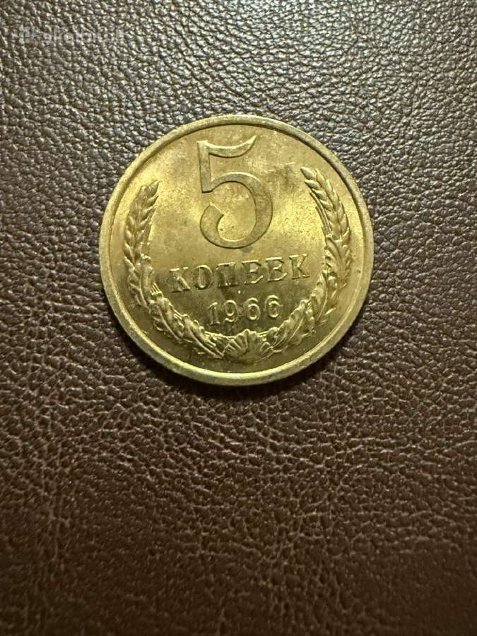 Reta 5kop 1966m