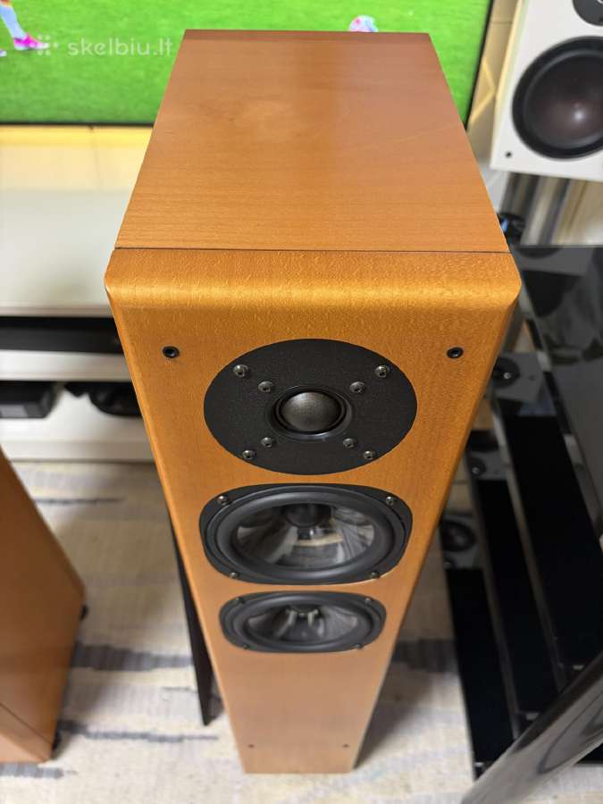 Vienna Acoustics Mozart (Made in Austria) - nuotraukos Nr. 4
