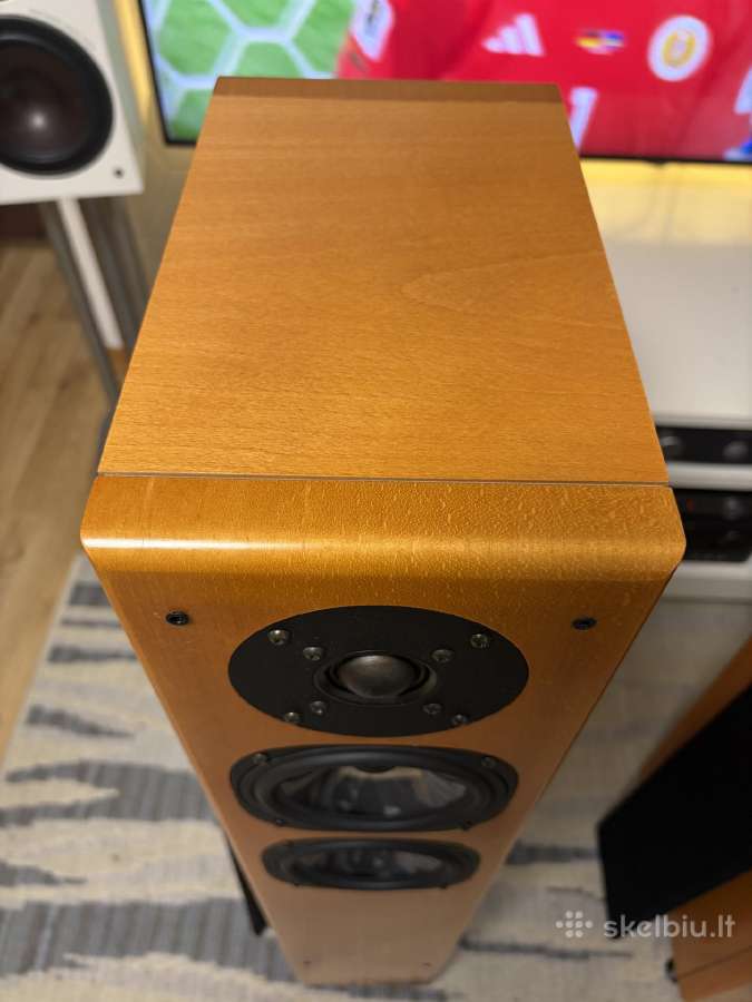 Vienna Acoustics Mozart (Made in Austria) - nuotraukos Nr. 7