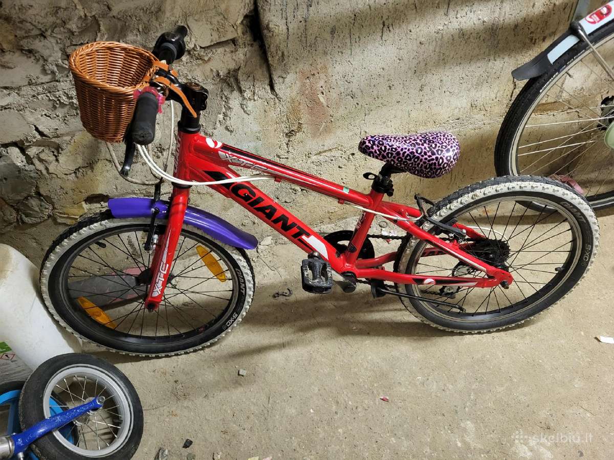 Vaikiškas dviratis Giant