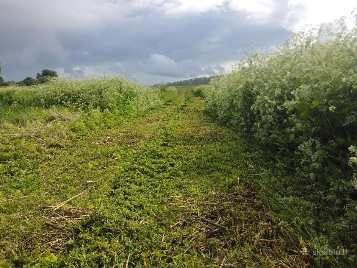 Žolės pjovimas Šiauliuose, Šiaulių raj. - nuotraukos Nr. 23