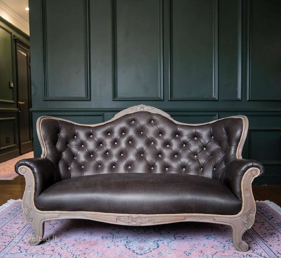 Tobula odinė antikvarinė sofa. - nuotraukos Nr. 2