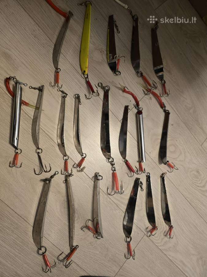 Zvejybiniai, jūriniai pilkeriai