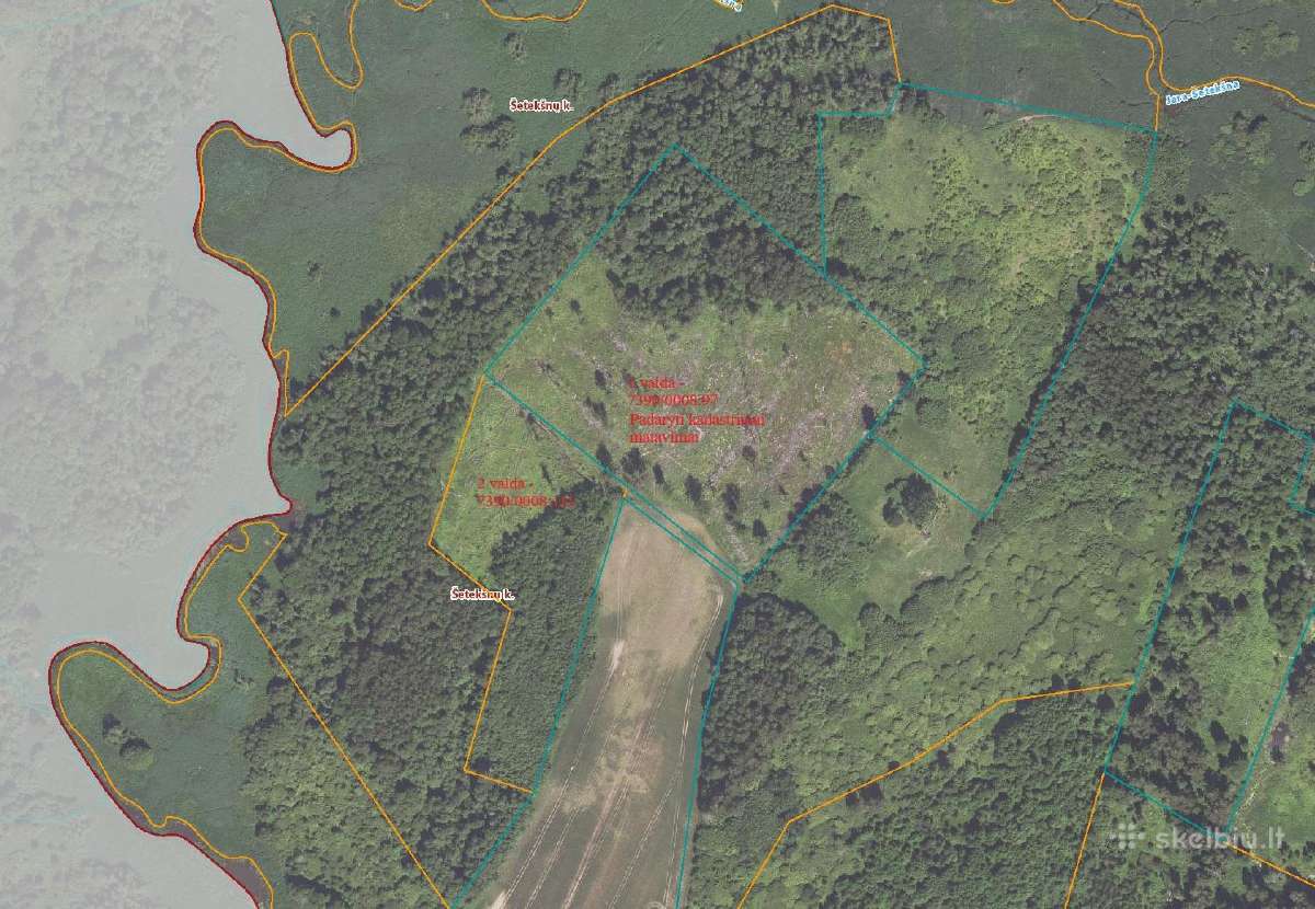 Parduodami 2 miškai Rokiškio raj., Šetekšnių km.