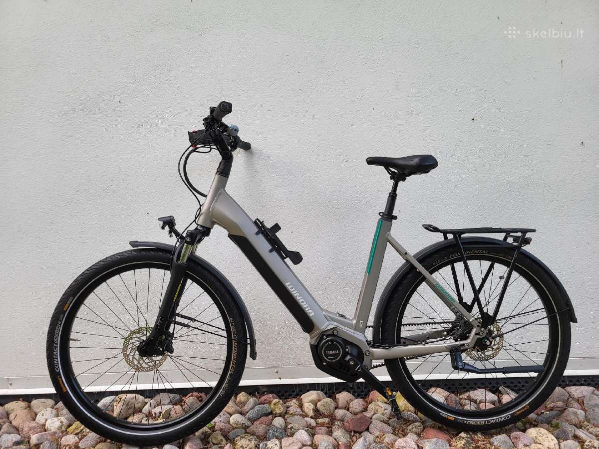 Winora Elektrinis Carbon dirzas 630wh.
