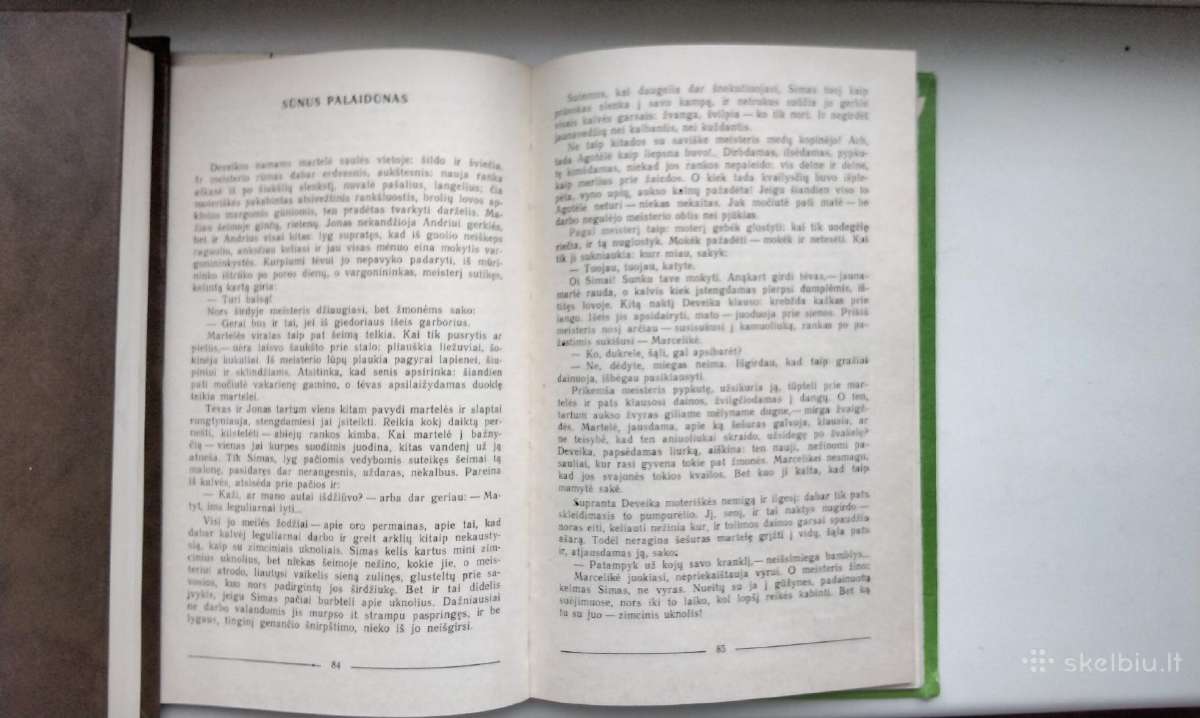 P. Cvirka. Meisteris ir sūnūs. 1982 m. leid. - nuotraukos Nr. 7