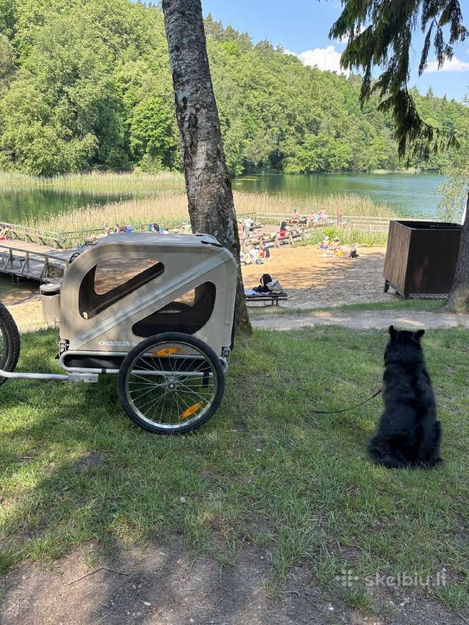 Dviračio Priekaba Augintiniams Croozer Dog