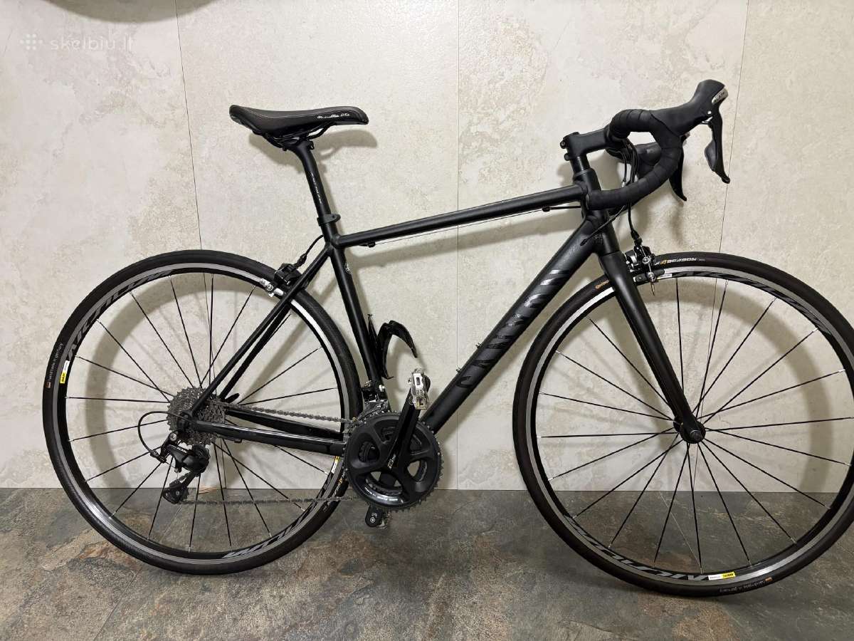 Canyon Endurace AL