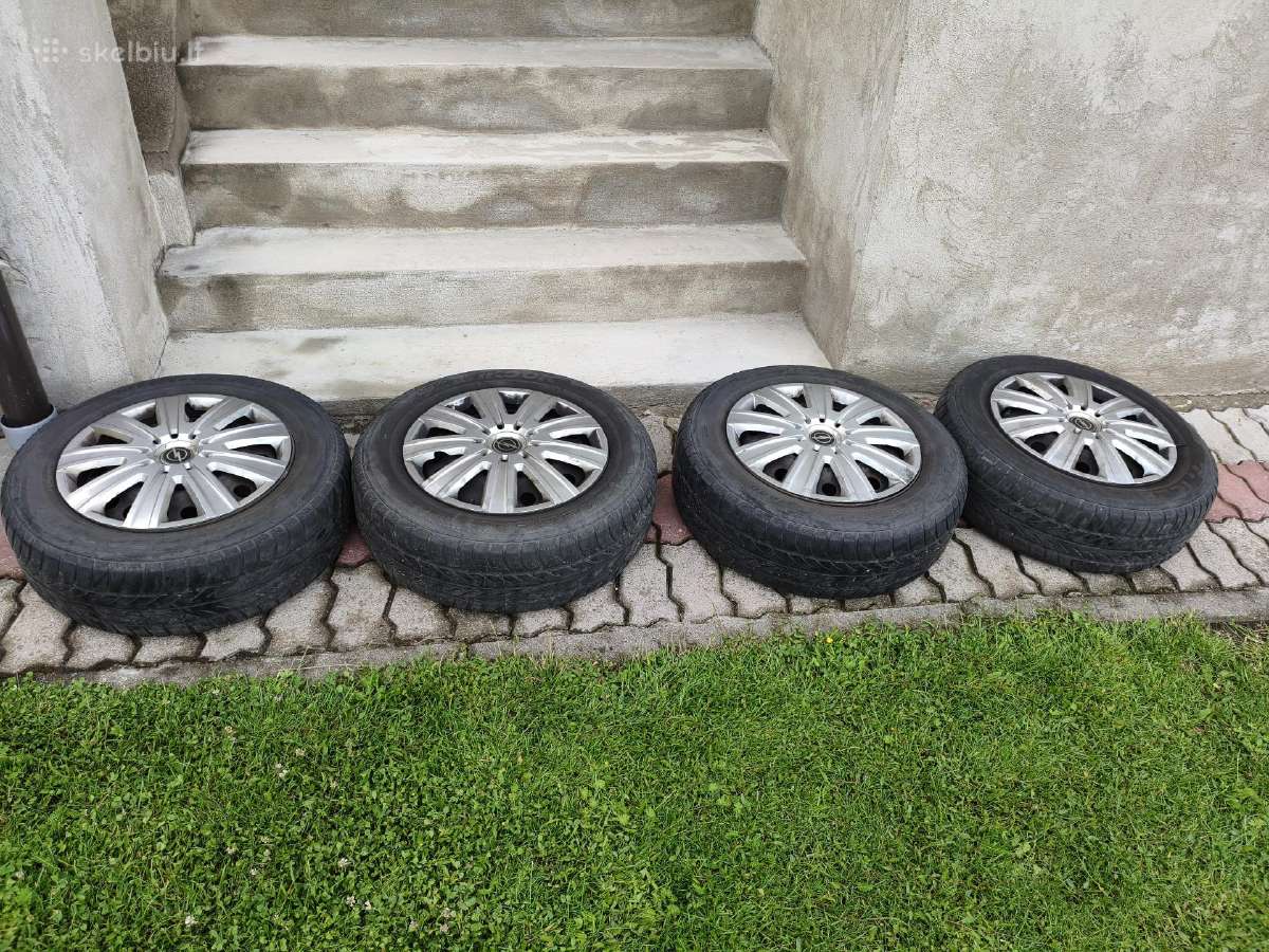 Ratlankai R15