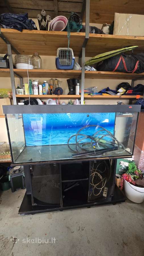 Akvariumas su spintele