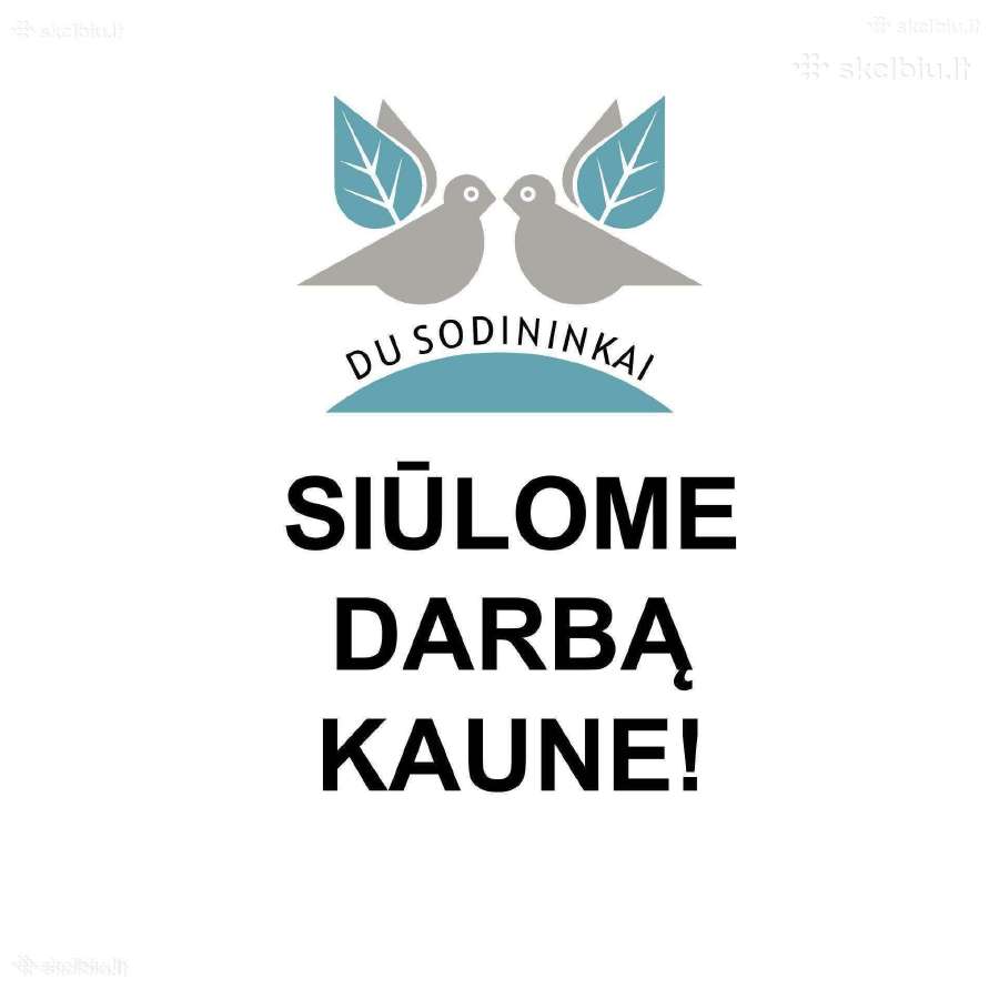 Ieškome darbuotojų vasarai ir rudeniui!