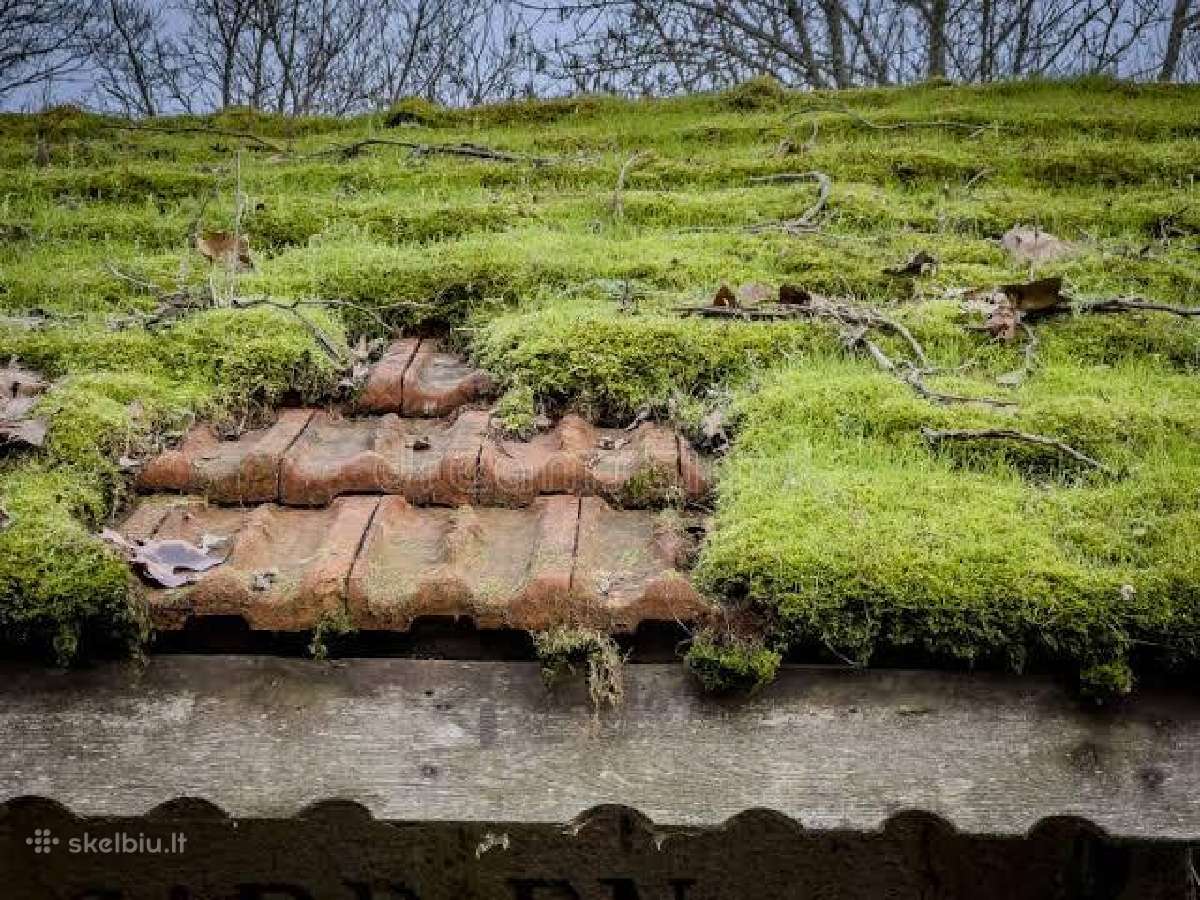 Samanų ir kerpių naikinimo priemonė Grenn-freee - nuotraukos Nr. 9