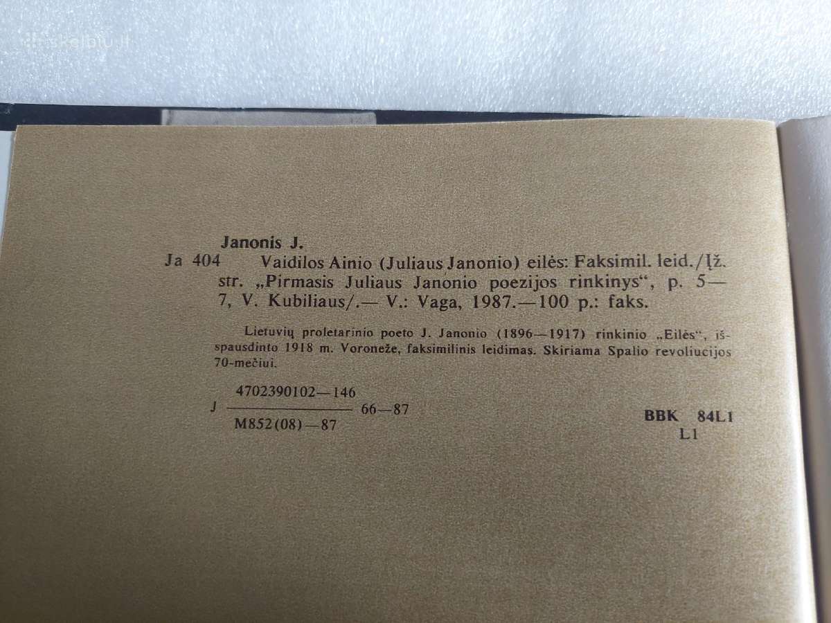 Vaidilos Ainio eilės - nuotraukos Nr. 8
