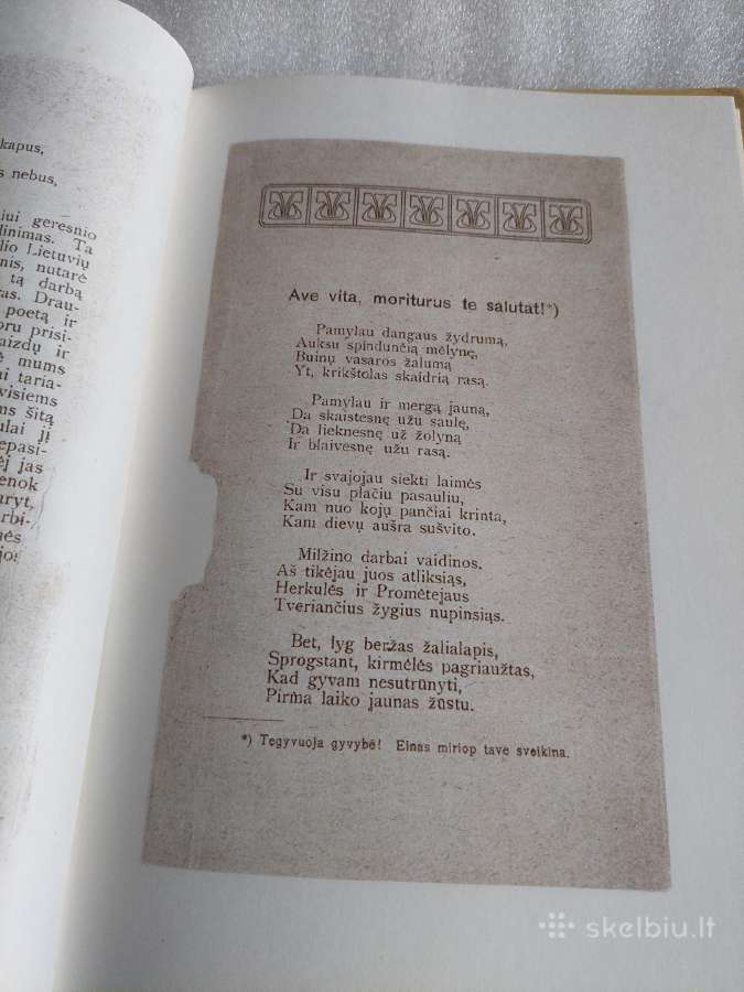 Vaidilos Ainio eilės - nuotraukos Nr. 3