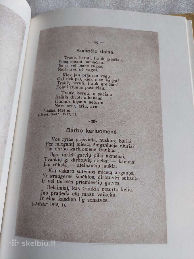 Vaidilos Ainio eilės - nuotraukos Nr. 4