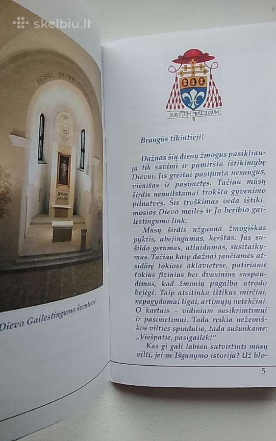 Jėzau, pasitikiu Tavimi - nuotraukos Nr. 4