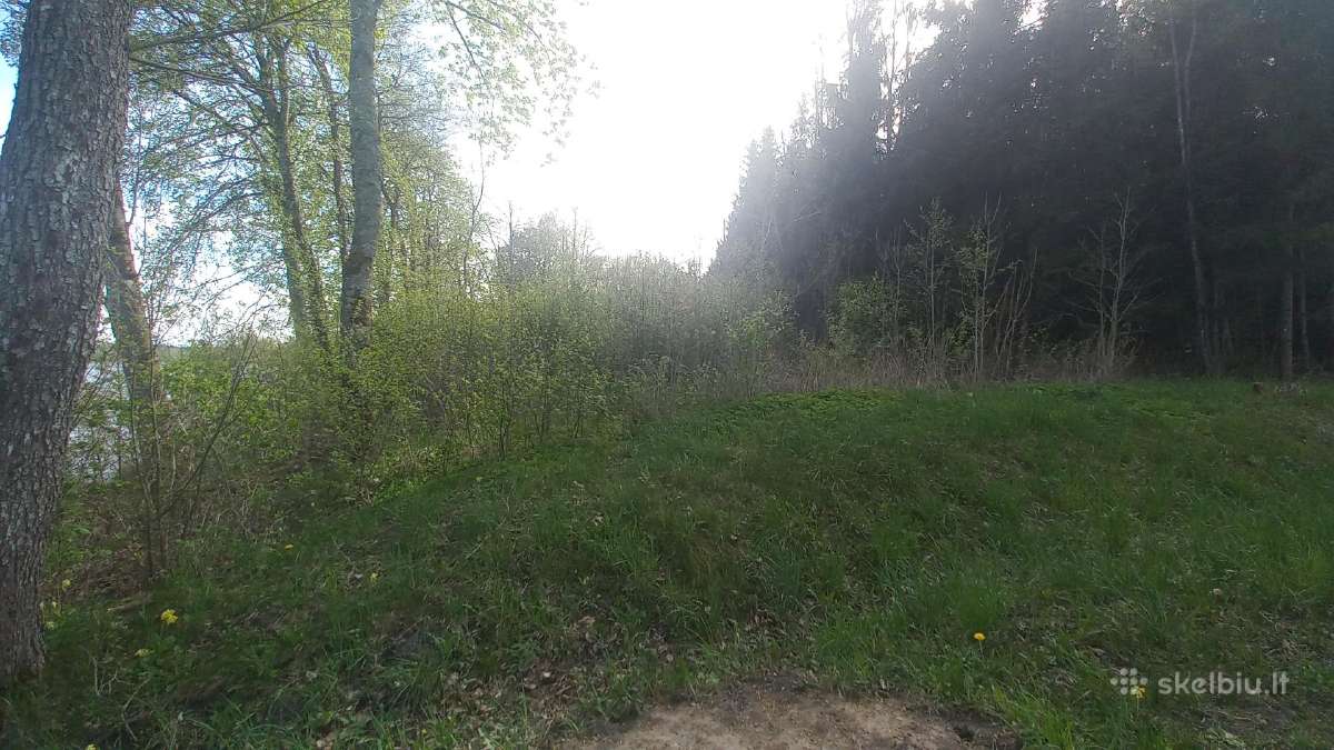 Sklypas su Čičirio ežero pakrante - nuotraukos Nr. 5