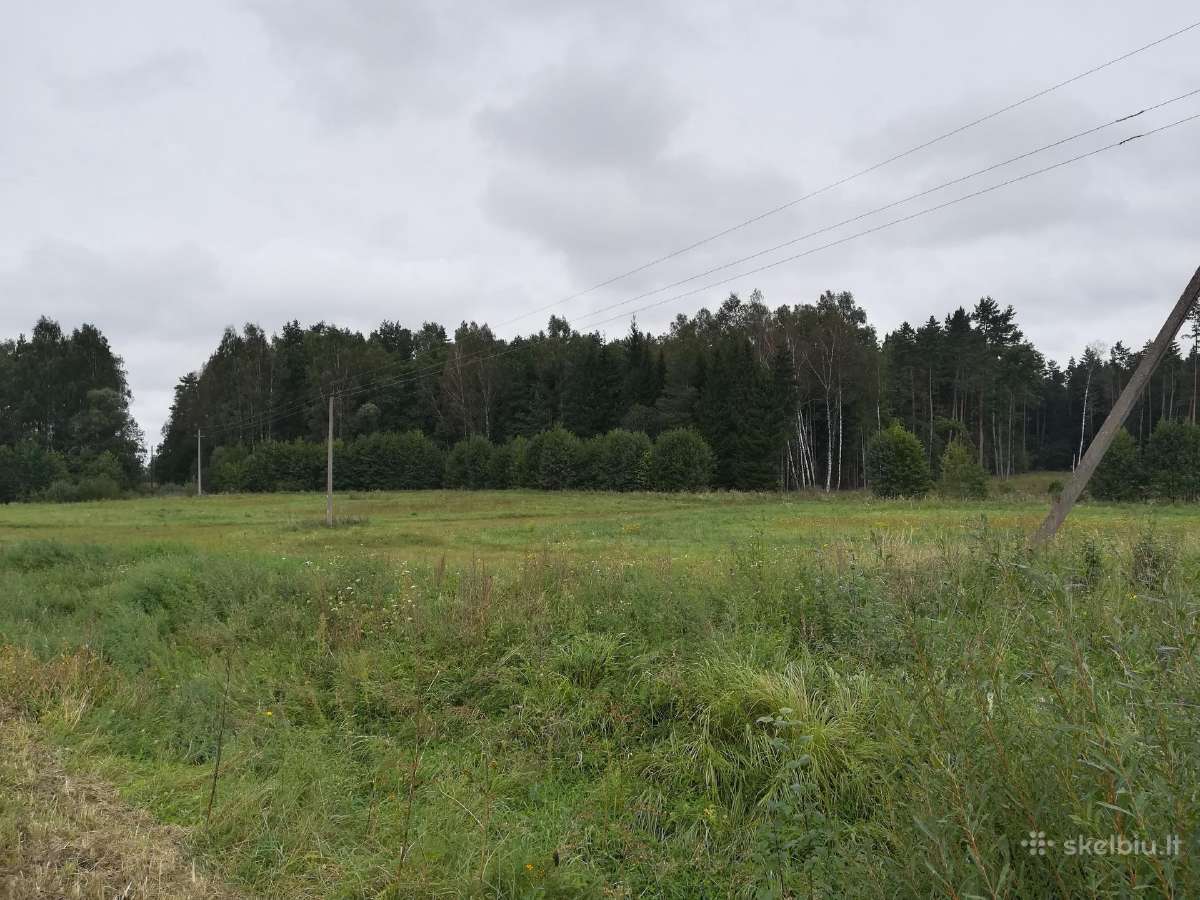 Sklypas šalia miško Klaipėdos rajone - nuotraukos Nr. 2