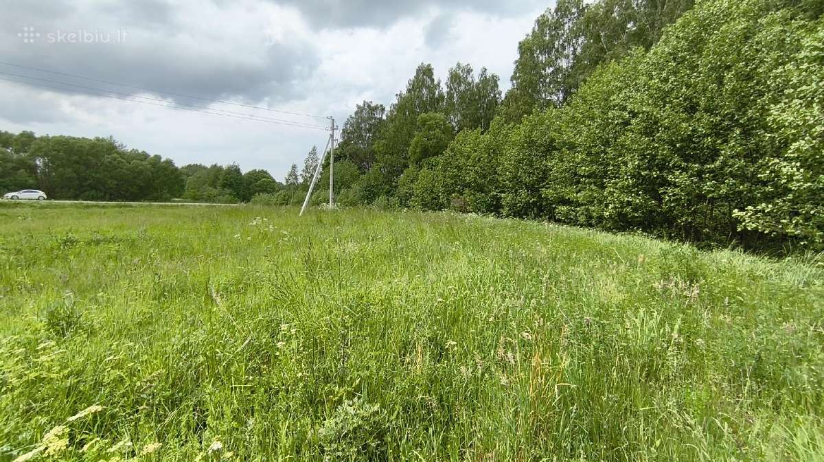 Sklypas šalia miško Klaipėdos rajone - nuotraukos Nr. 4