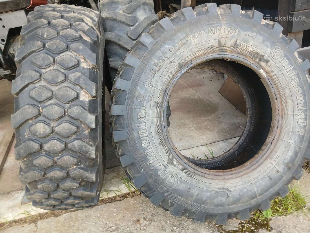 Belarus dalys, , padangos