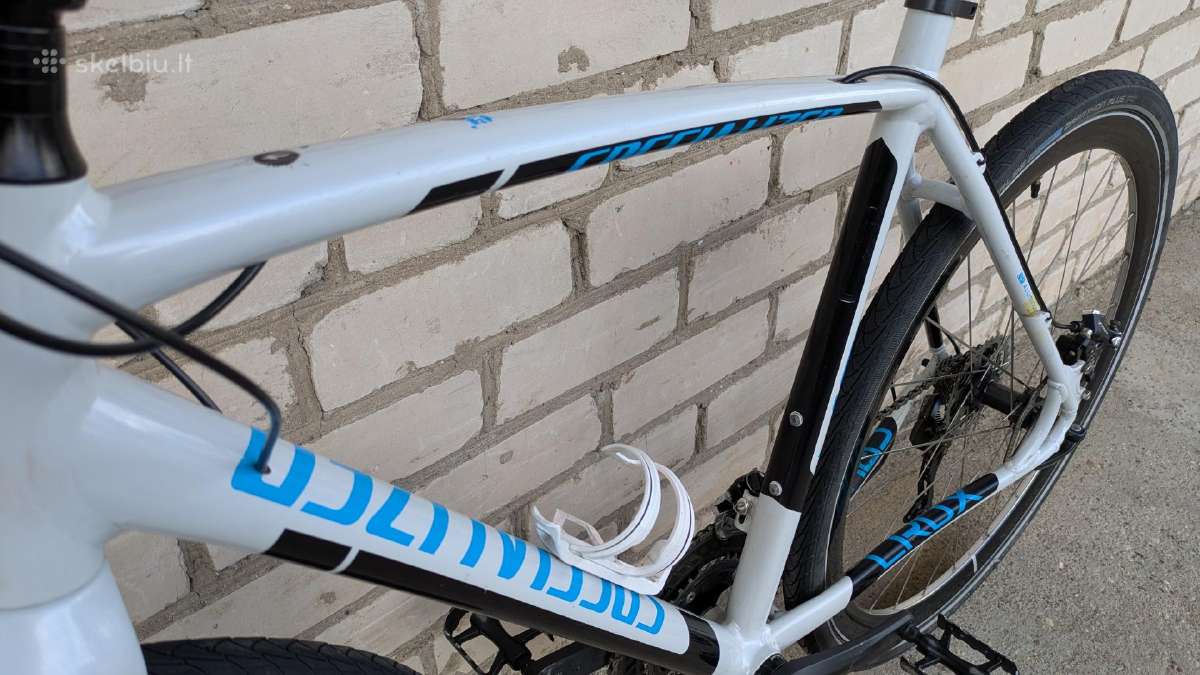 Specialized - nuotraukos Nr. 21