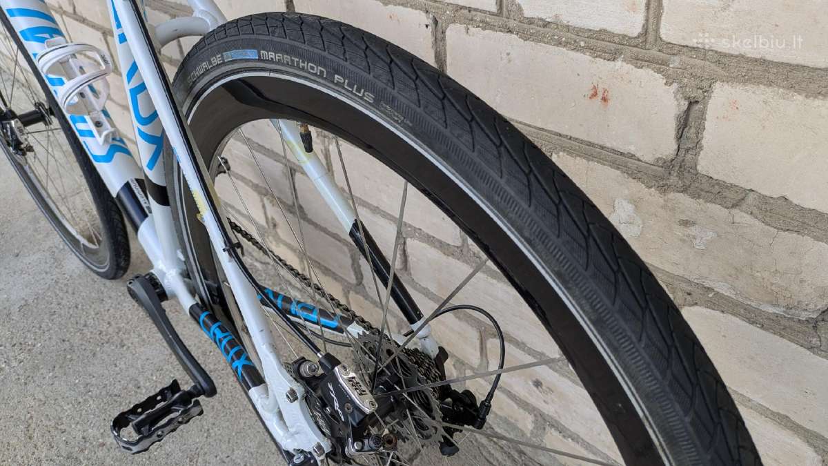 Specialized - nuotraukos Nr. 23