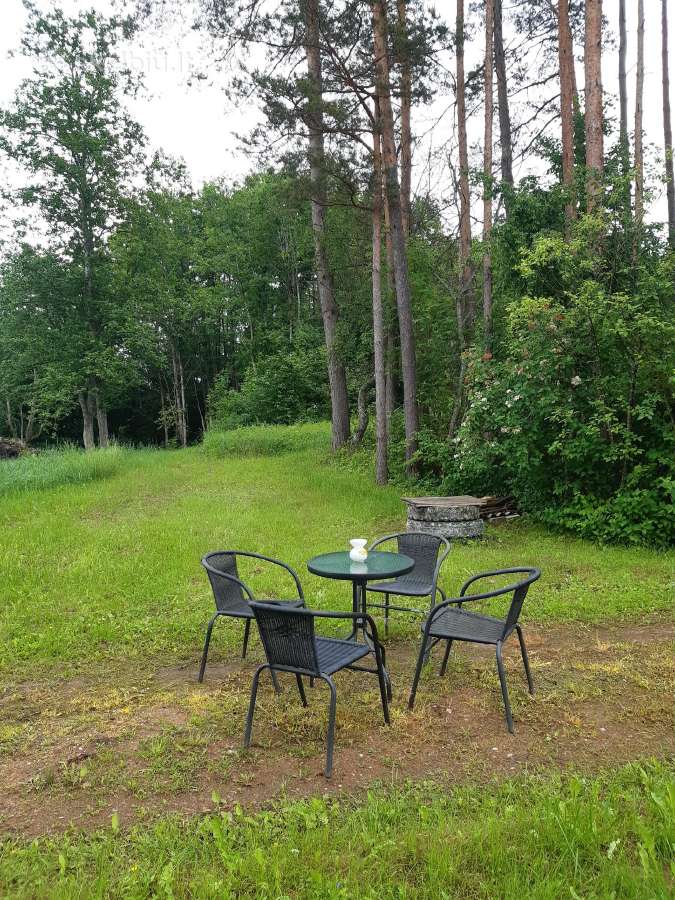 Poilsis gamtoje prie vandens nemokamai - nuotraukos Nr. 3
