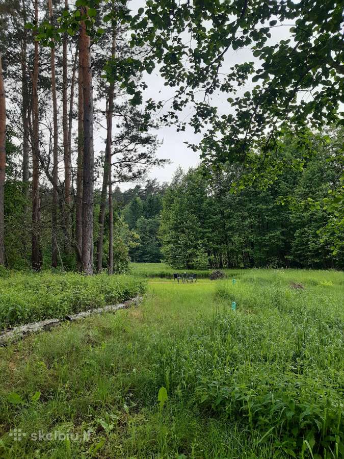 Poilsis gamtoje prie vandens nemokamai - nuotraukos Nr. 4