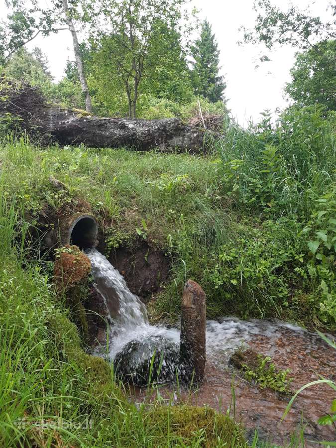 Poilsis gamtoje prie vandens nemokamai - nuotraukos Nr. 6