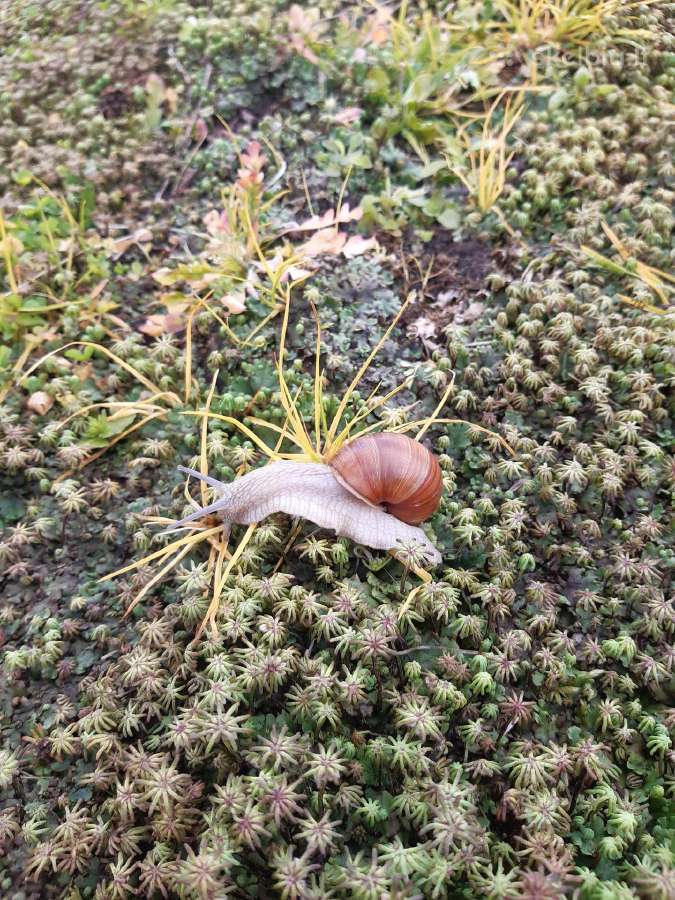 Poilsis gamtoje prie vandens nemokamai - nuotraukos Nr. 9