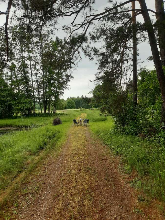 Poilsis gamtoje prie vandens nemokamai - nuotraukos Nr. 5