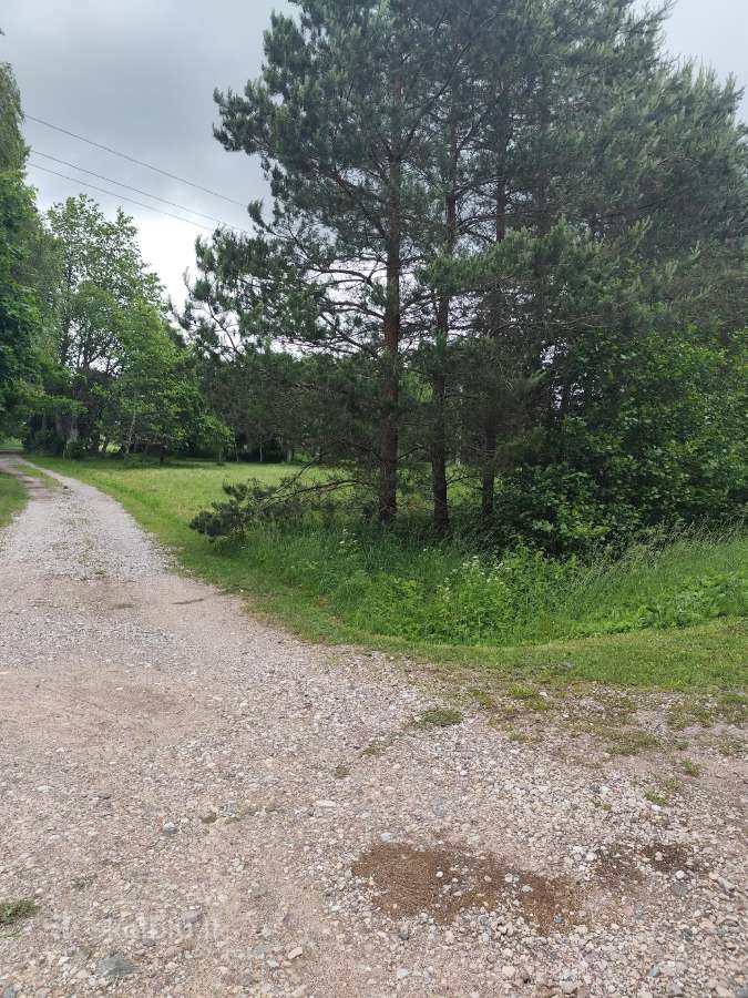 Namų valda (sklypas 35 arai)