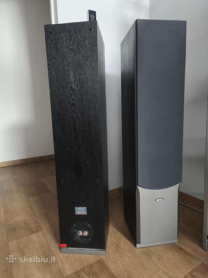Dynaudio Audiance 72 - nuotraukos Nr. 6