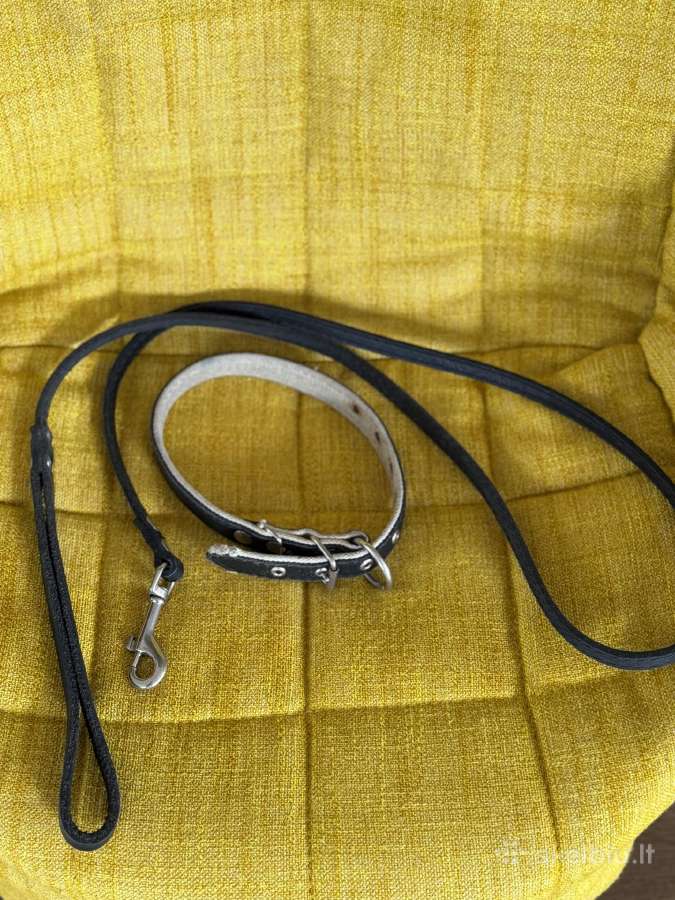 Antsnukiai, petnešos, pavadžiai įvairiems šunims - nuotraukos Nr. 11