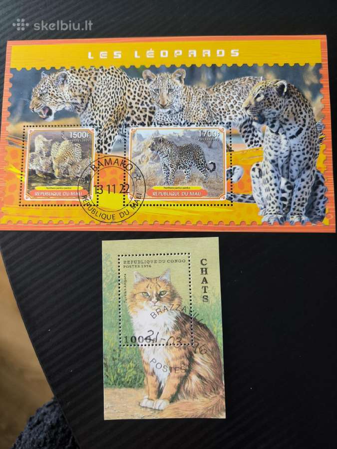 Malio leopardai ir Kongo katė