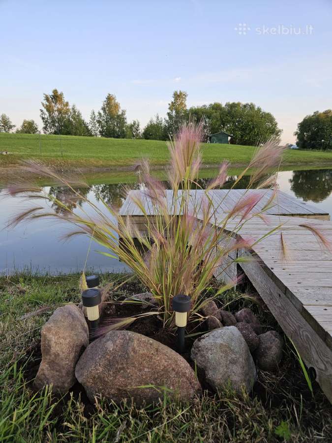 Parduodamas sklypas gamtos apsuptyje - nuotraukos Nr. 17