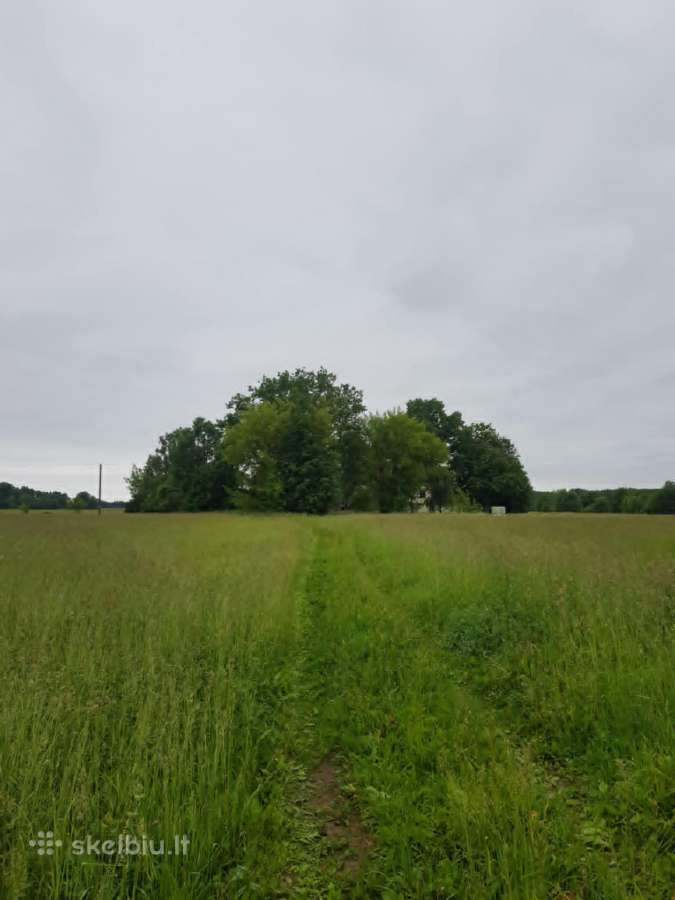 Parduodu sodyba,juodaiciai,misiunu km. 9,5ha - nuotraukos Nr. 4