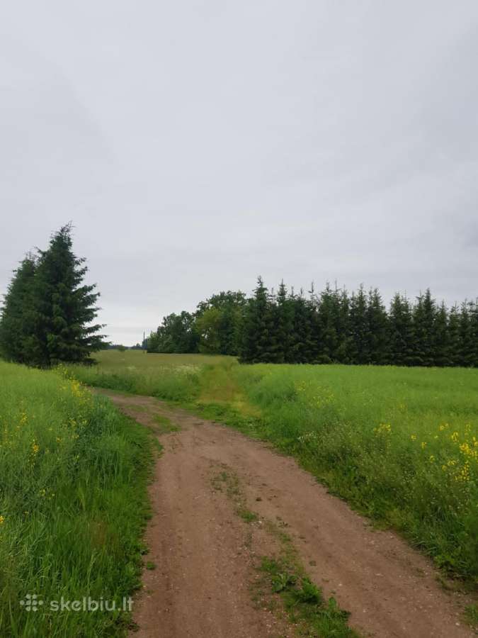 Parduodu sodyba,juodaiciai,misiunu km. 9,5ha - nuotraukos Nr. 5