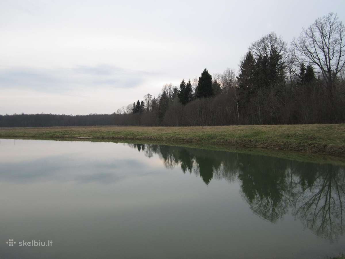 Parduodu sodyba,juodaiciai,misiunu km. 9,5ha - nuotraukos Nr. 9