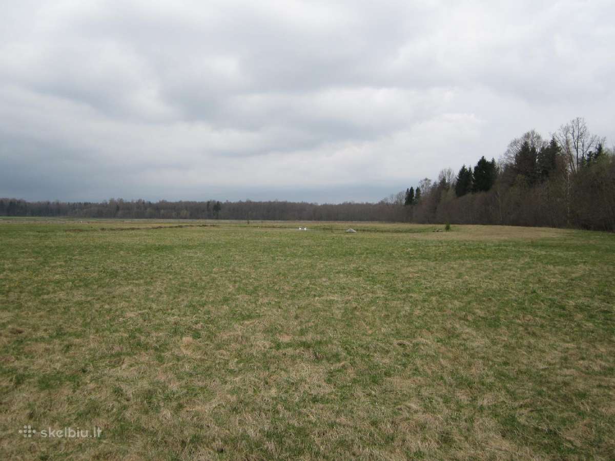 Parduodu sodyba,juodaiciai,misiunu km. 9,5ha - nuotraukos Nr. 13