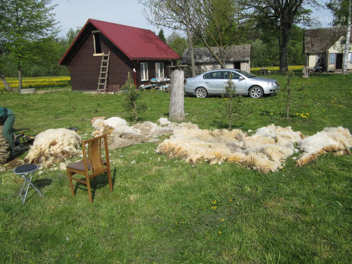 Parduodu sodyba,juodaiciai,misiunu km. 9,5ha - nuotraukos Nr. 14