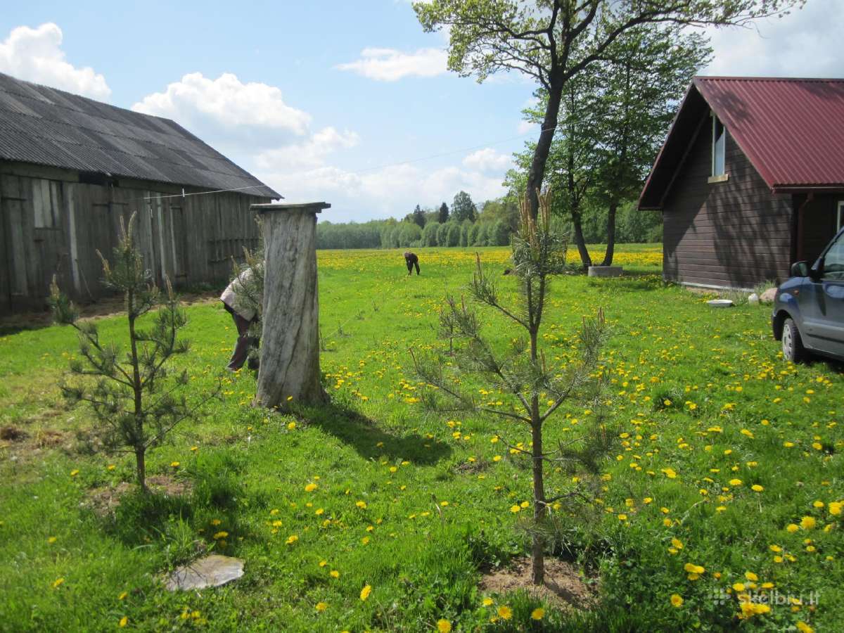 Parduodu sodyba,juodaiciai,misiunu km. 9,5ha - nuotraukos Nr. 17
