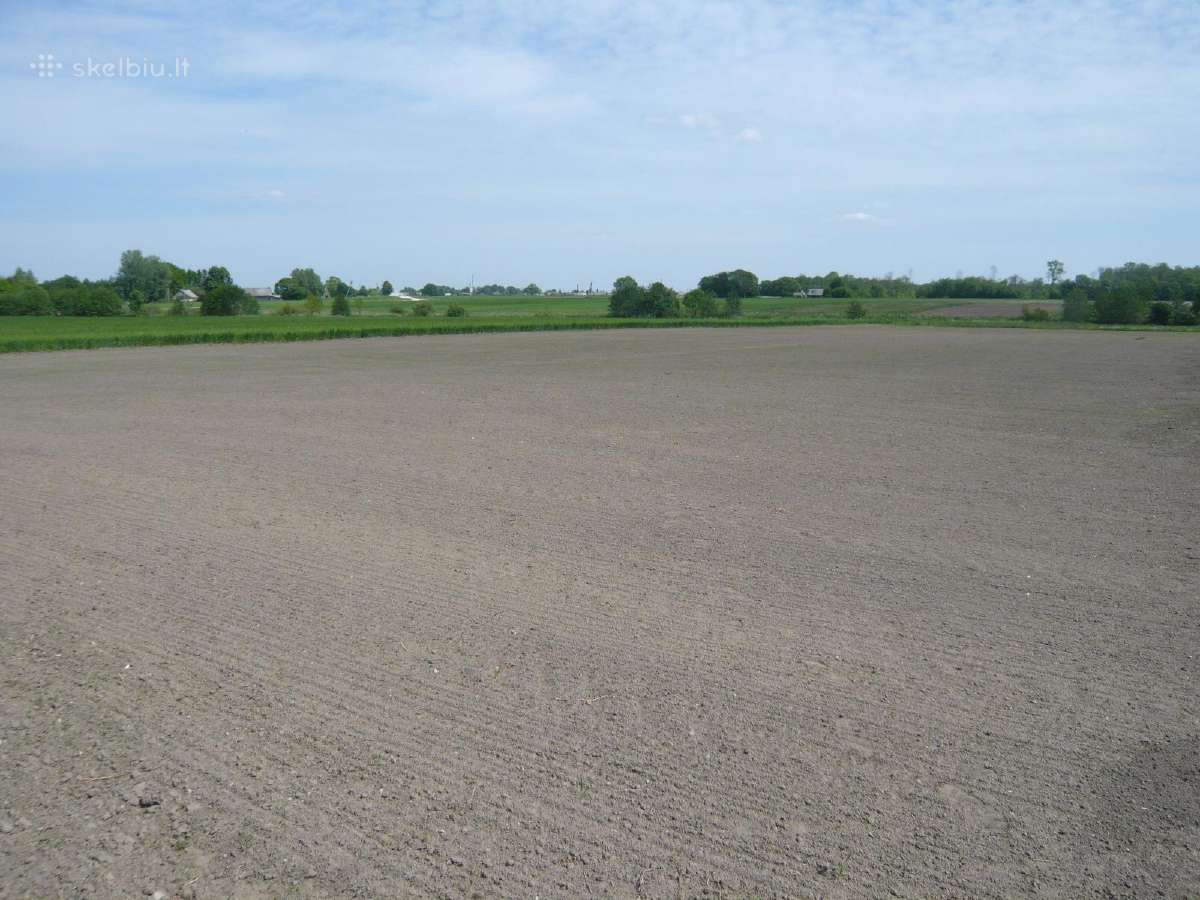 Parduodu sodyba,juodaiciai,misiunu km. 9,5ha - nuotraukos Nr. 20
