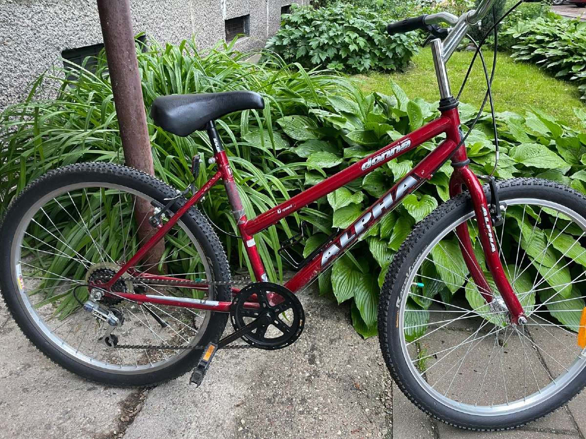 Raudonas taivanietiškas dviratis 26"