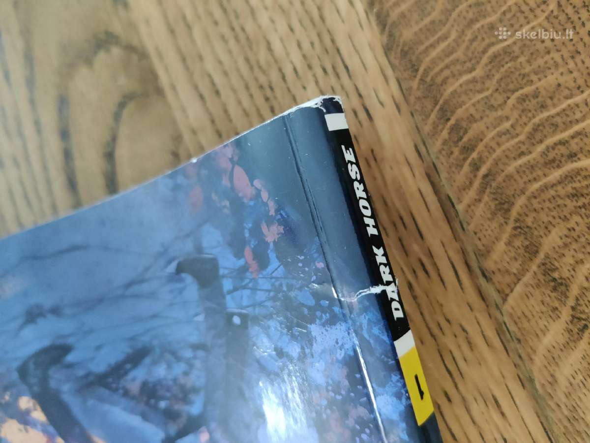 The last of us american dreams comics - nuotraukos Nr. 3