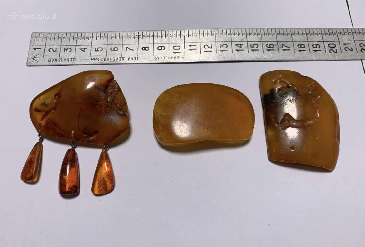 Gražus Gintaras 64 gr. - nuotraukos Nr. 3