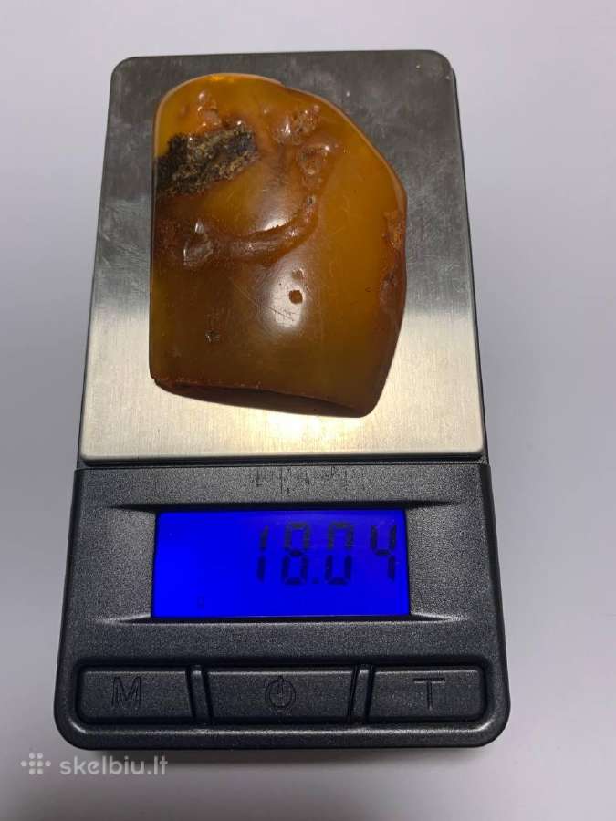 Gražus Gintaras 64 gr. - nuotraukos Nr. 6